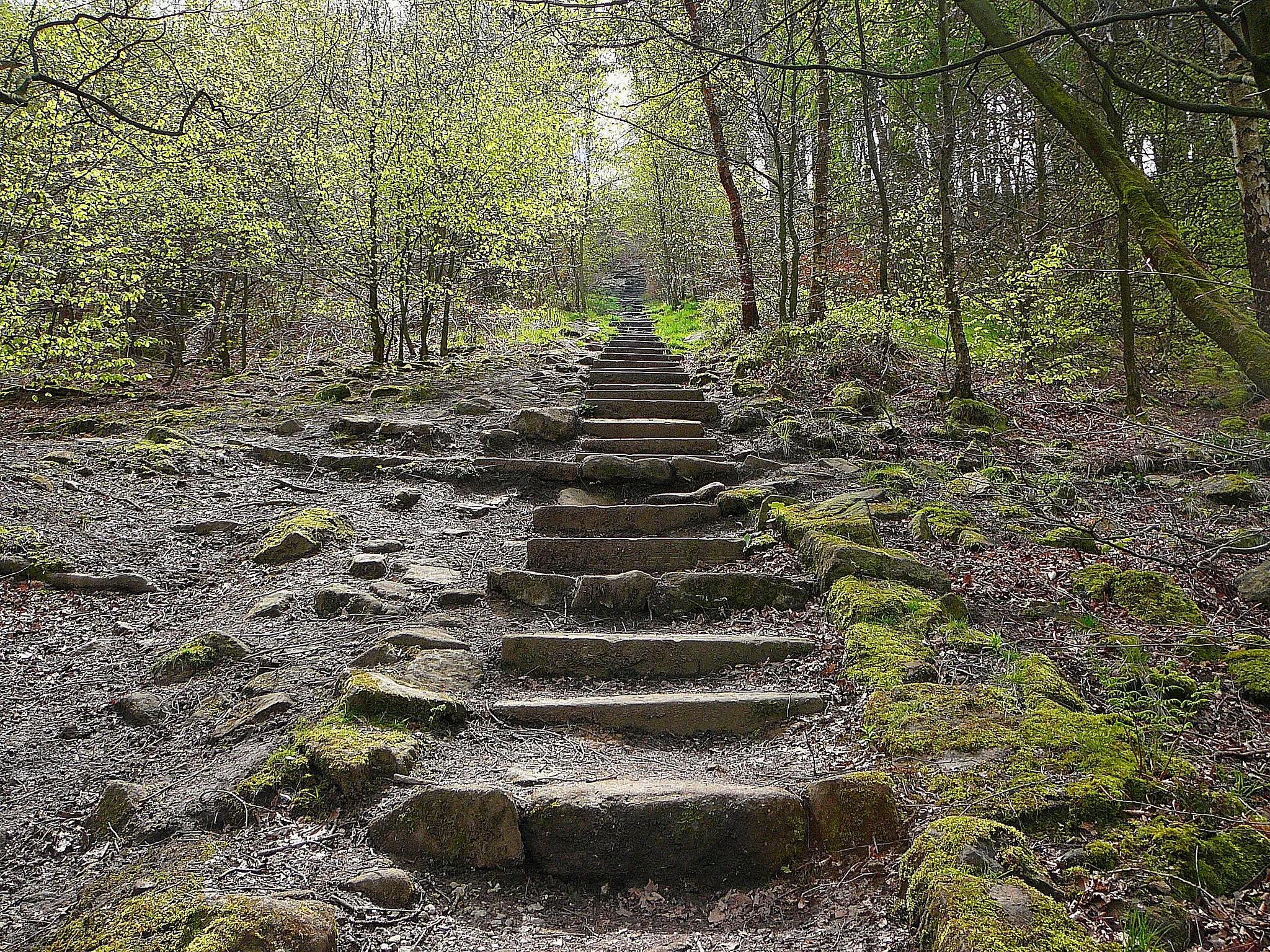 Photo showing: I think these are the same steps I took back in the autumn! It's hard to tell, there are so many ...