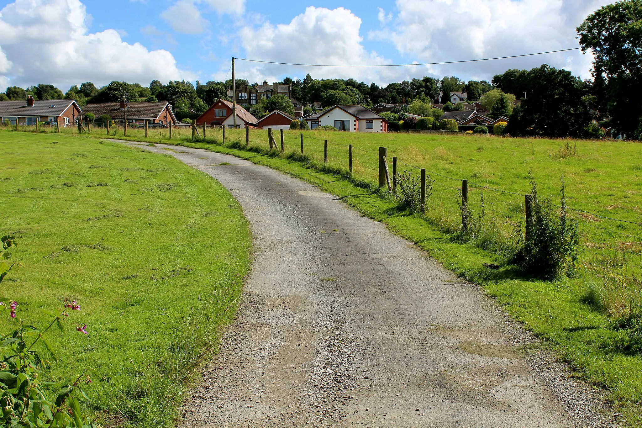 Photo showing: Access Lane from Tipping's Farm