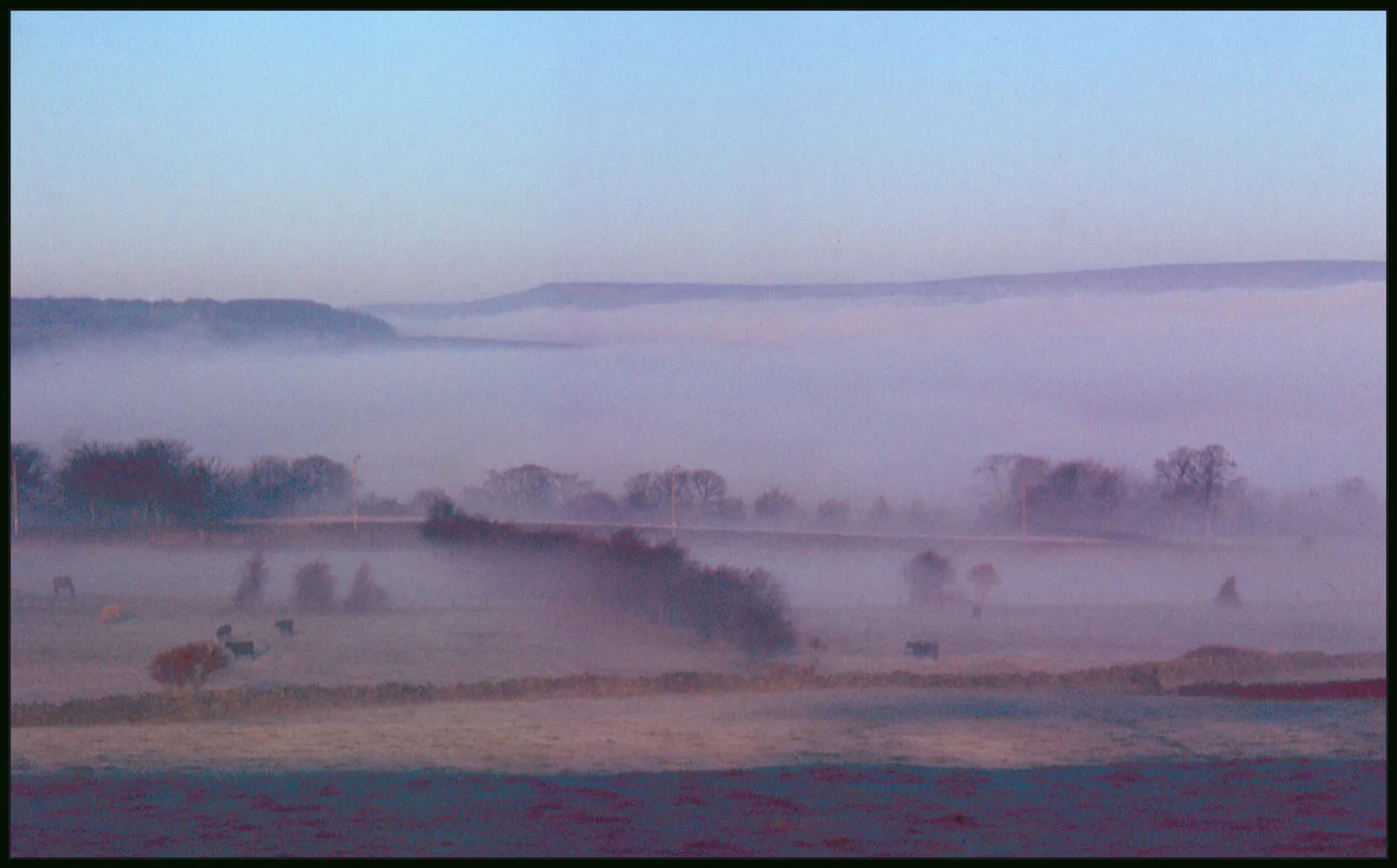 Photo showing: Cottingley Moor in the mist