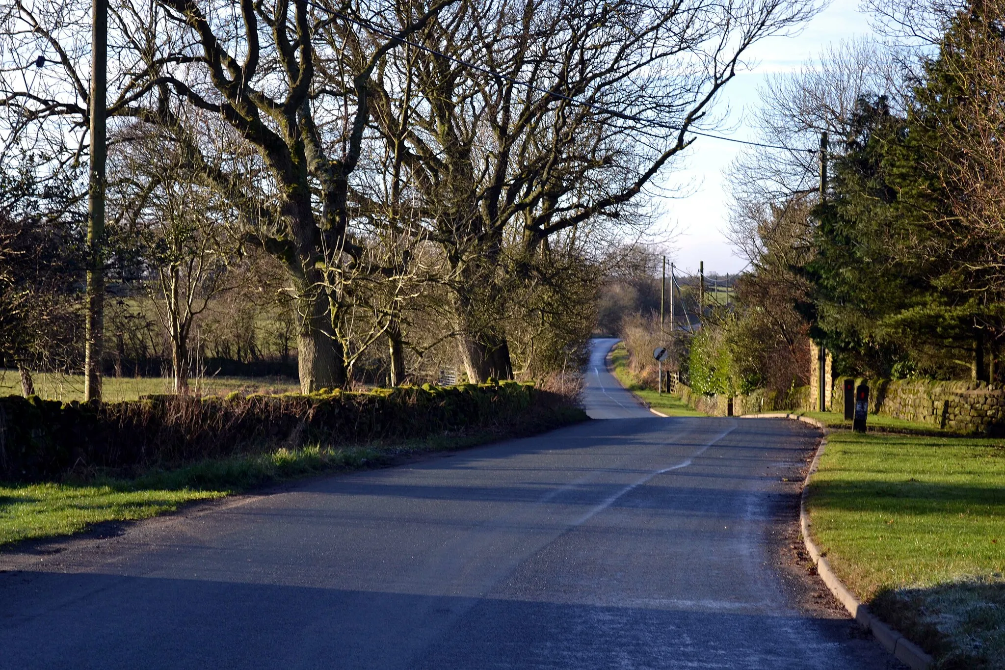 Photo showing: Back Road near Wayside Farm