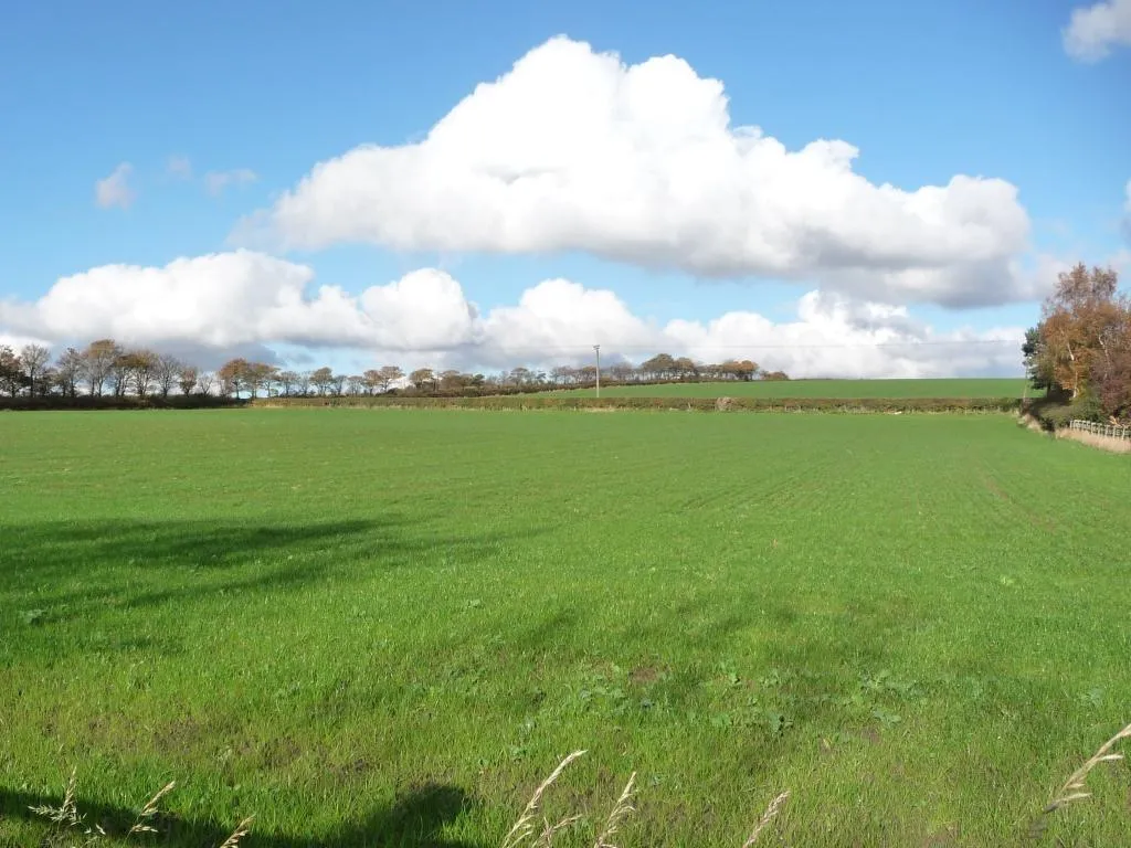 Photo showing: At the foot of Lodge Hill