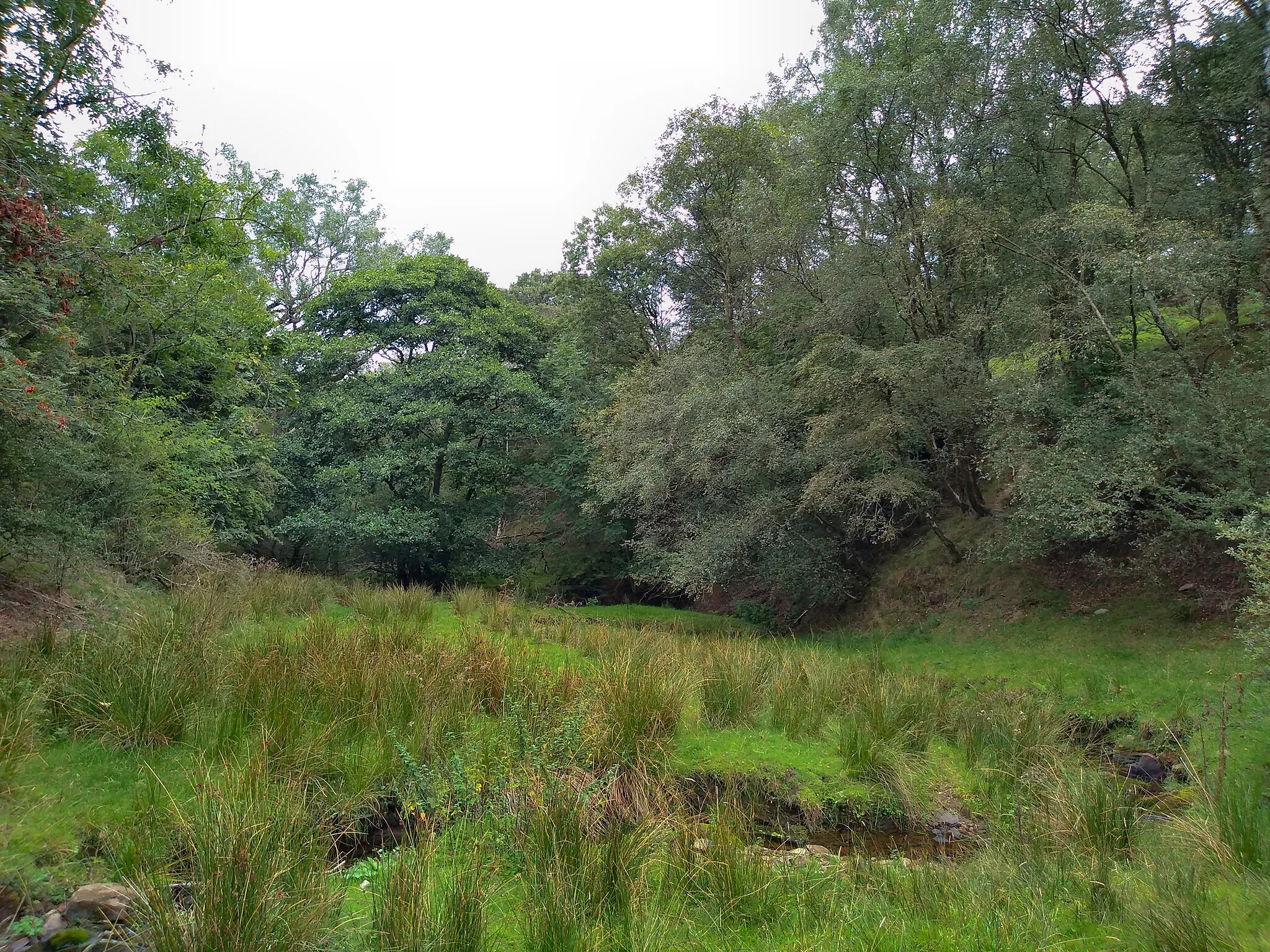 Photo showing: Abney Clough