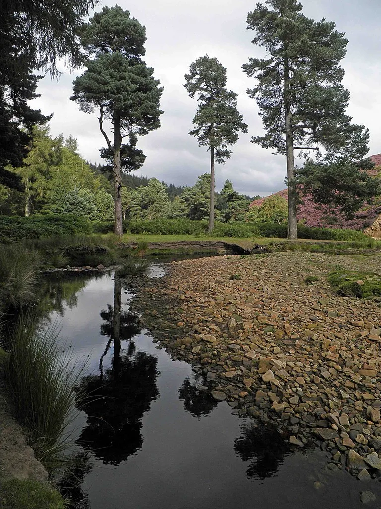 Photo showing: 3 Pines alongside the Little Don River