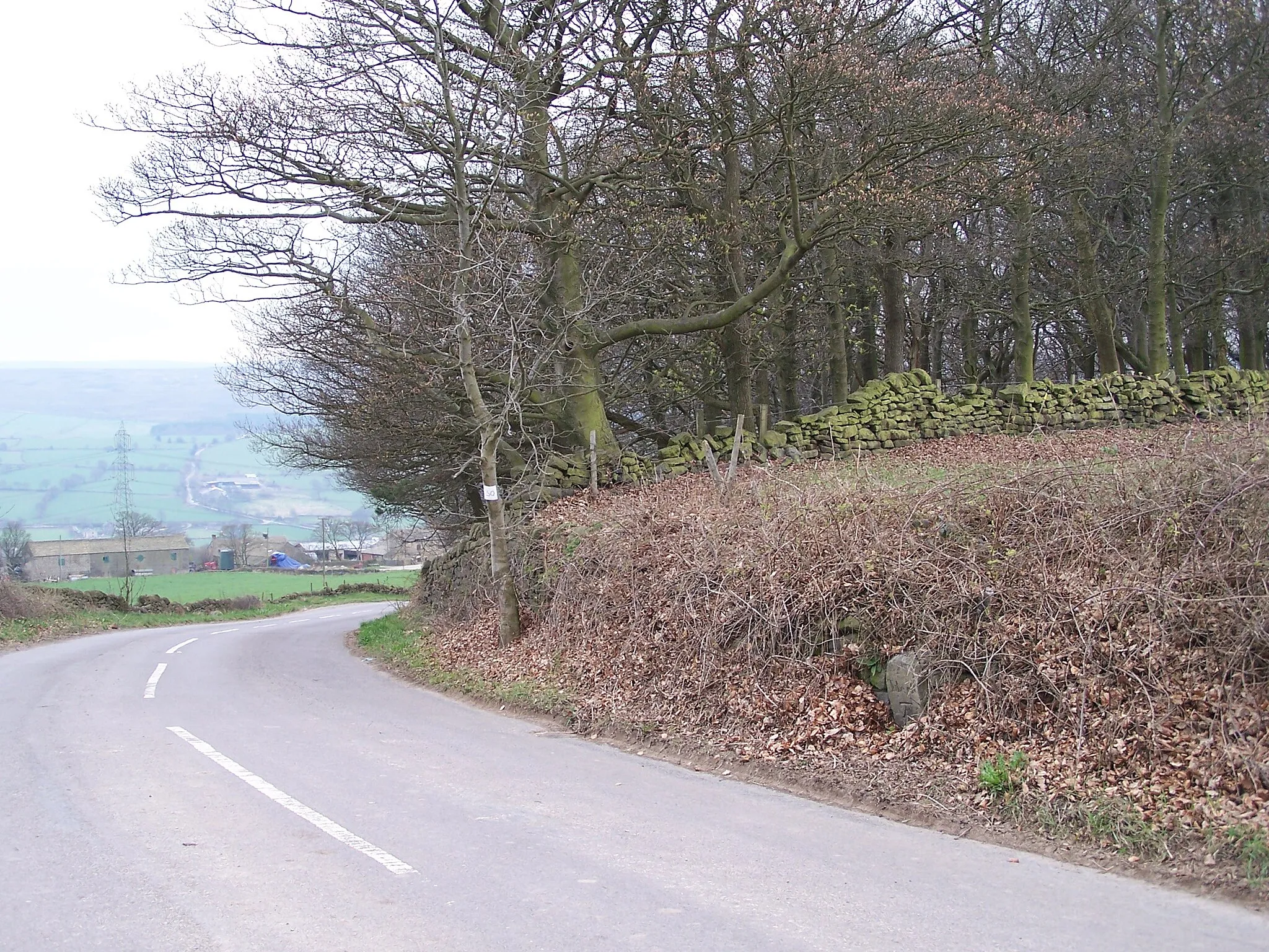 Photo showing: 'Take Off' Stone, Mortimer Road, Sheephouse Heights, near Penistone