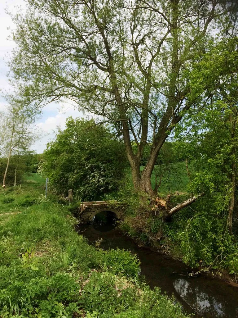 Photo showing: Bleakley Dike footbridge