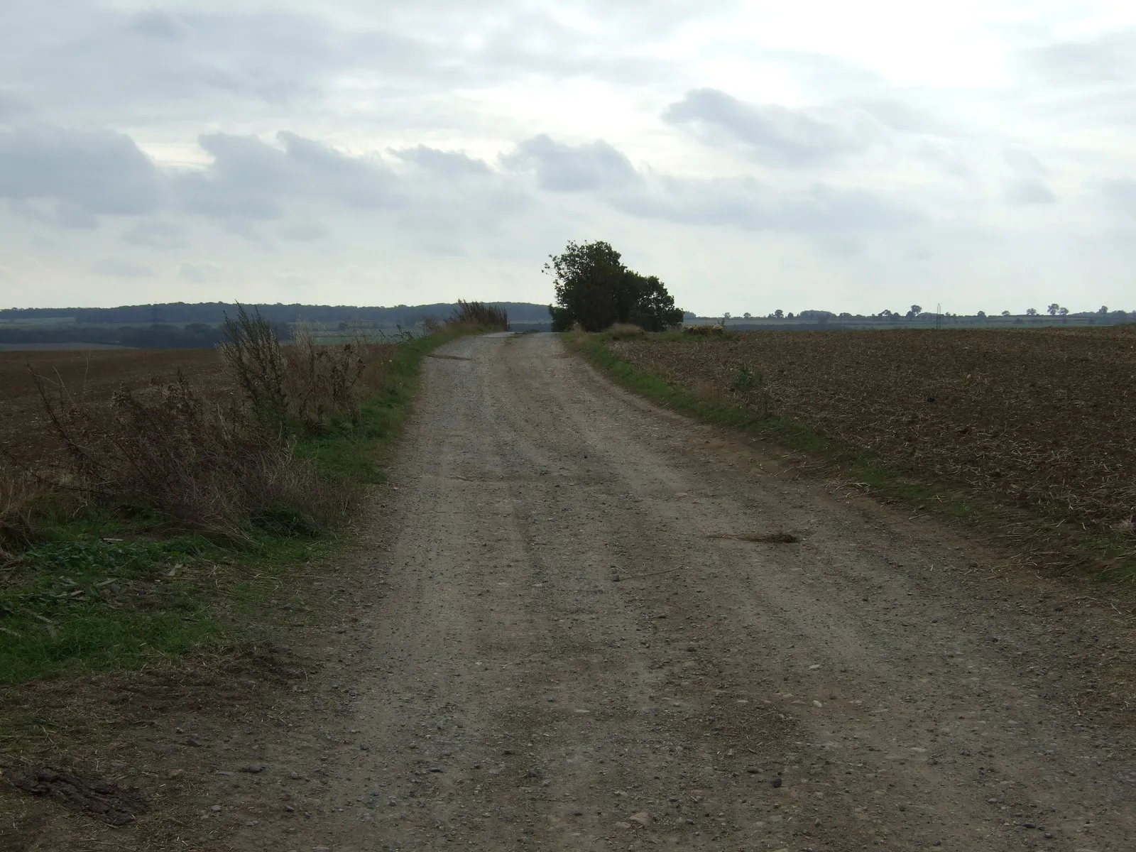 Photo showing: Balk Lane (track)