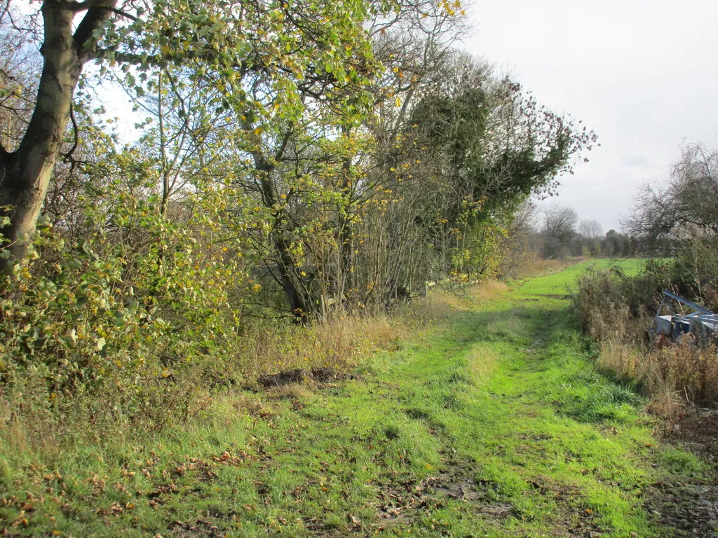 Photo showing: Alongside the railway at Cow Lane crossing