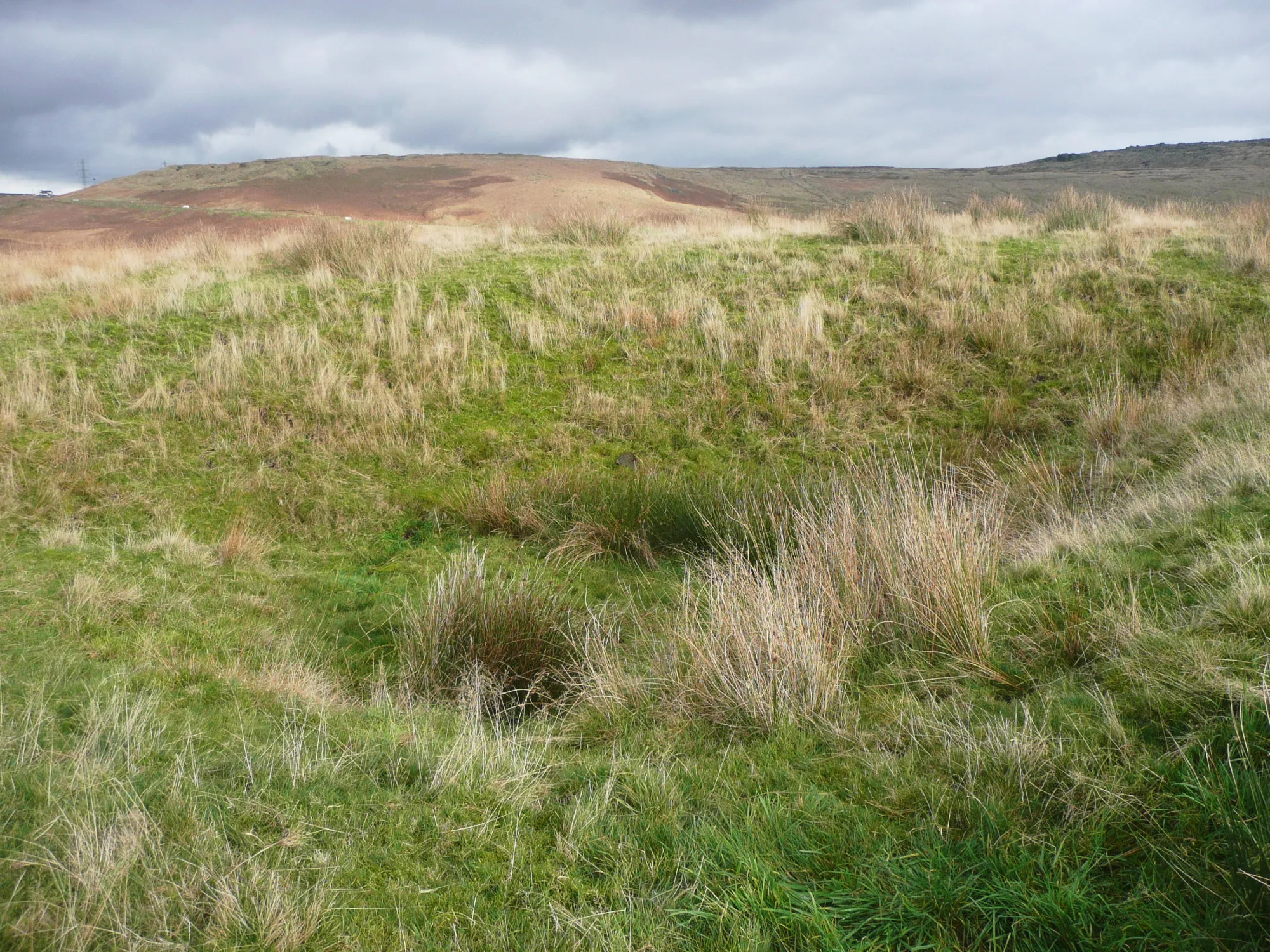 Photo showing: Small pit near the summit of Stormer Hill, Littleborough