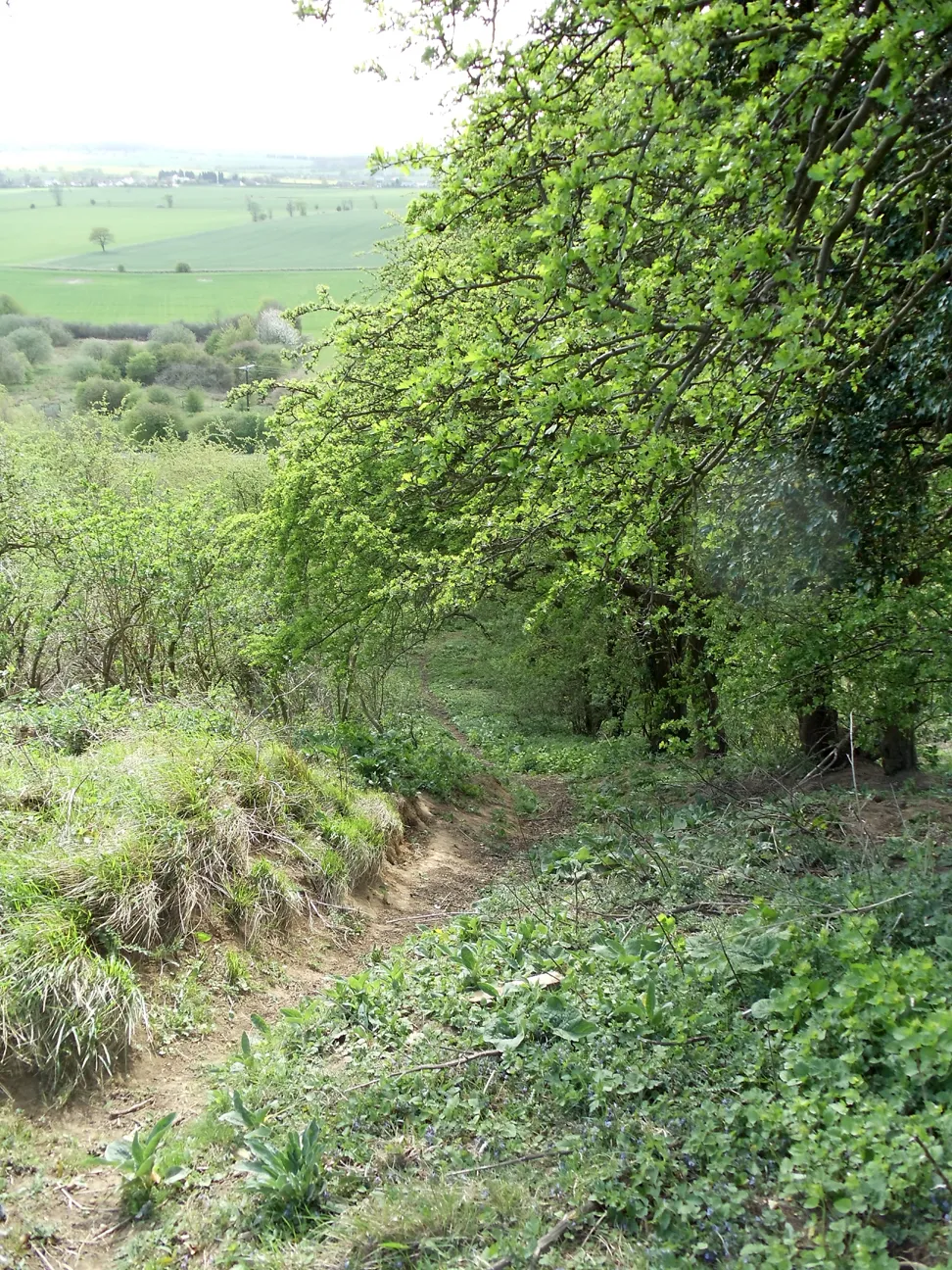 Photo showing: A footpath for mountain goats