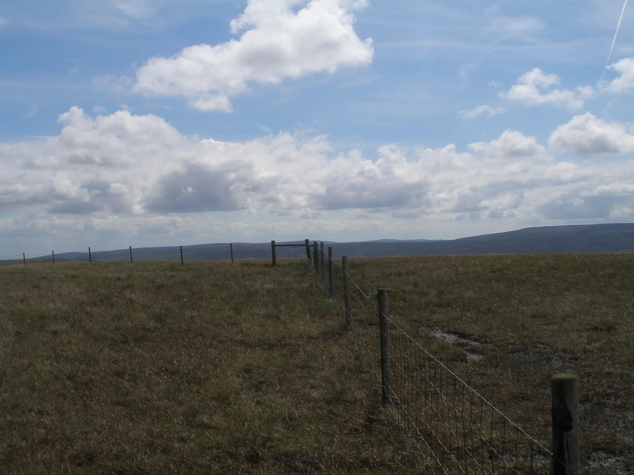 Photo showing: The summit of Britland Edge Hill