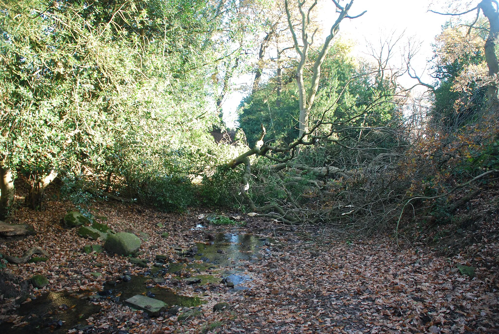 Photo showing: Blocked Byway Ford at Aldersley