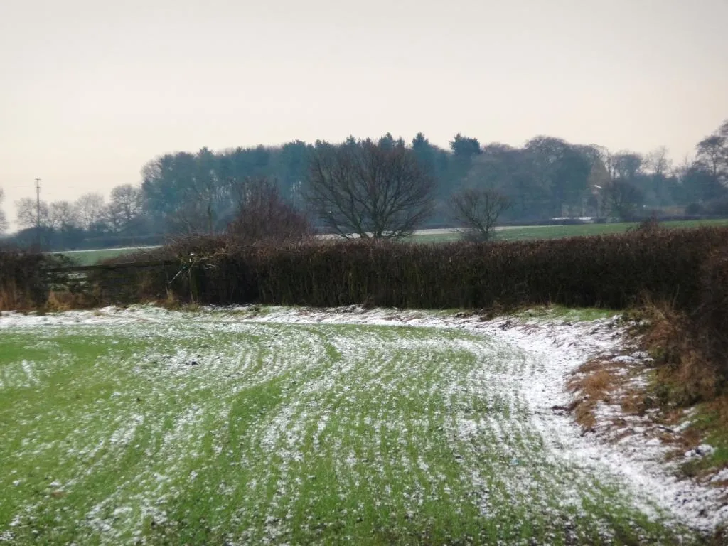 Photo showing: Field boundary outlined by snow and hedge, Snydale
