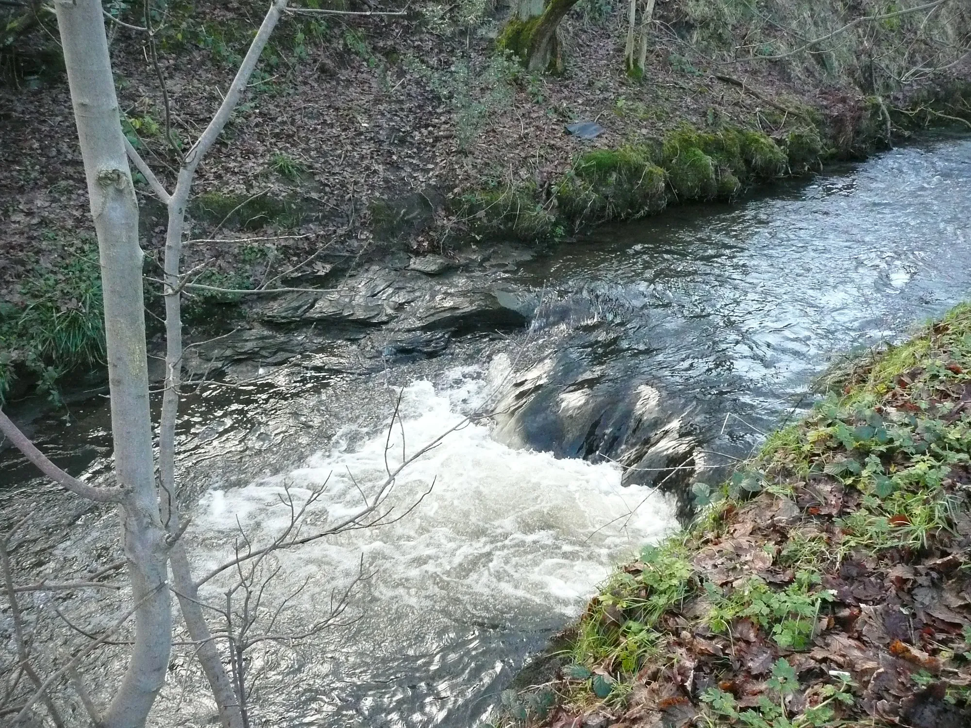 Photo showing: A step in the Black Brook