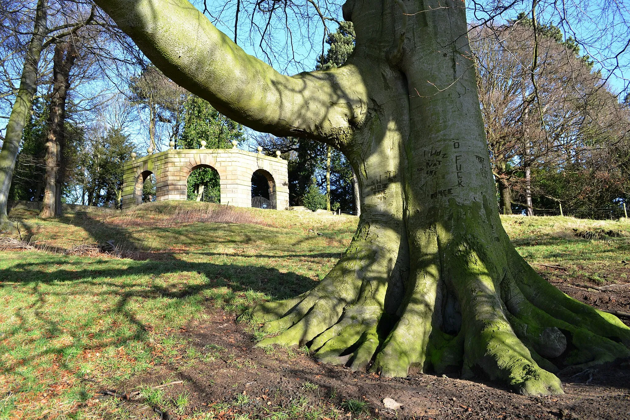 Photo showing: Archer's Hill Gate and Tree, Wentworth Castle