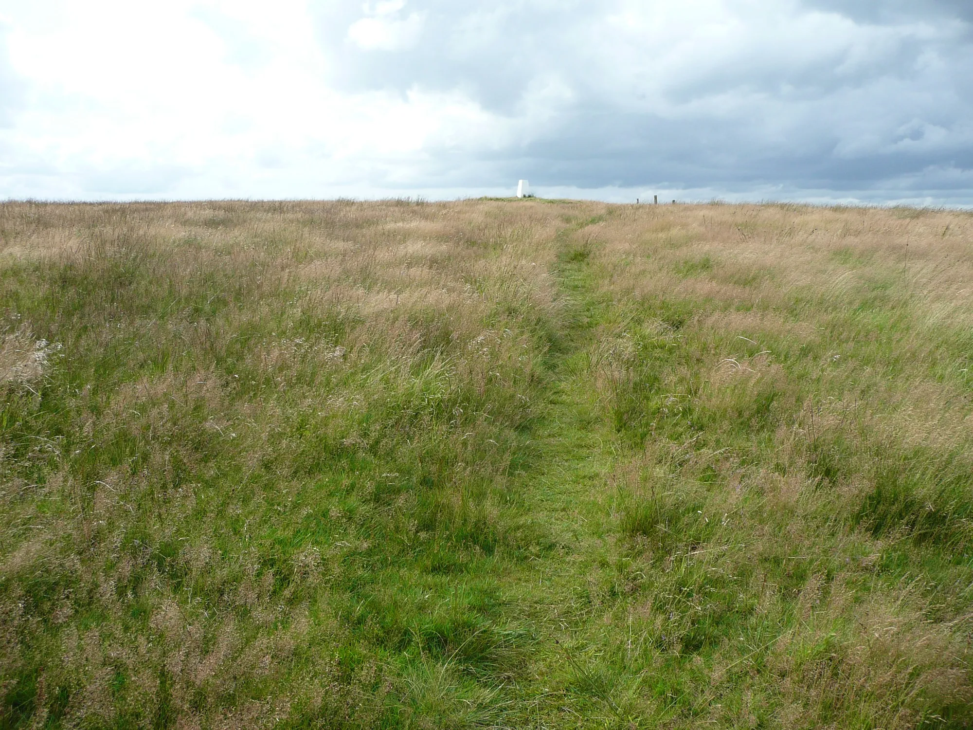 Photo showing: The footpath up Crow Hill