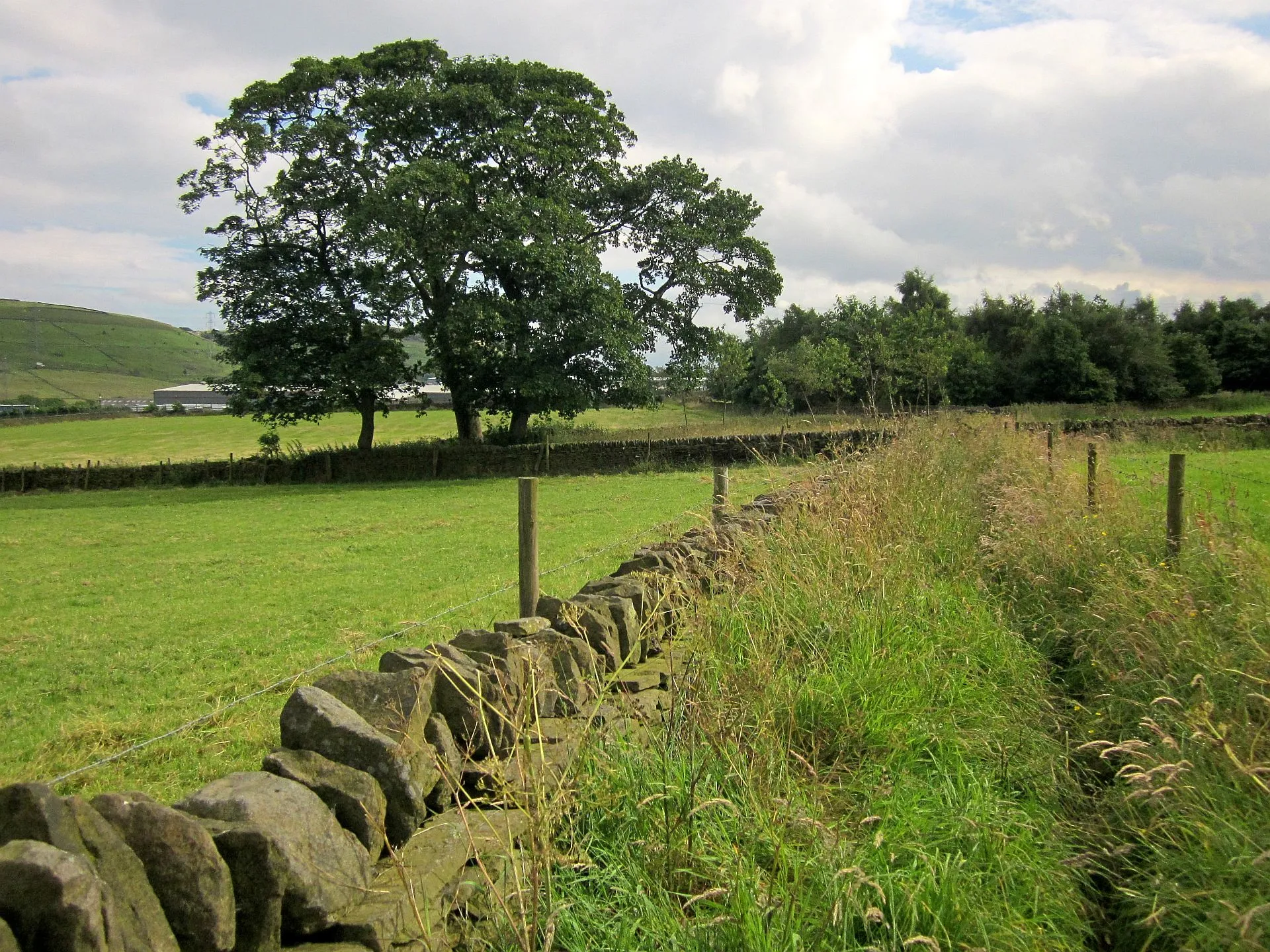 Photo showing: Calderdale Way