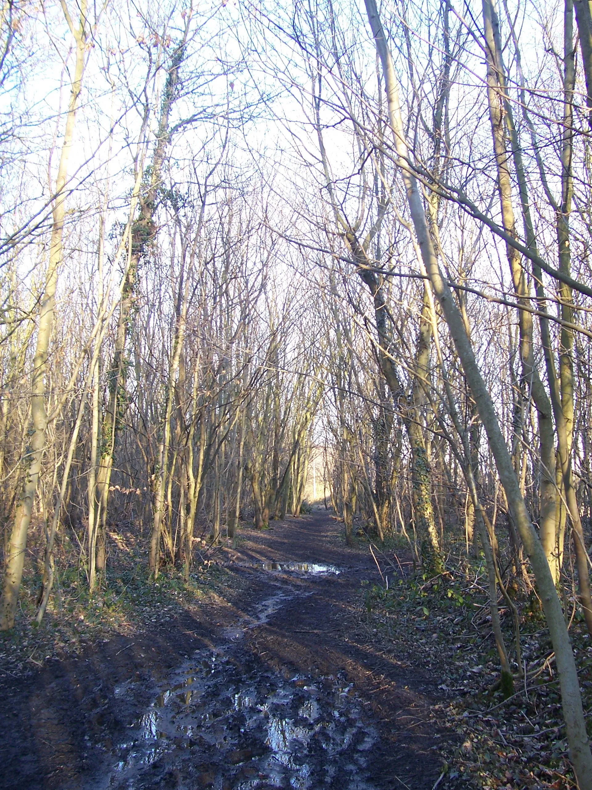 Photo showing: Barnsley Boundary Walk at Bell Ground