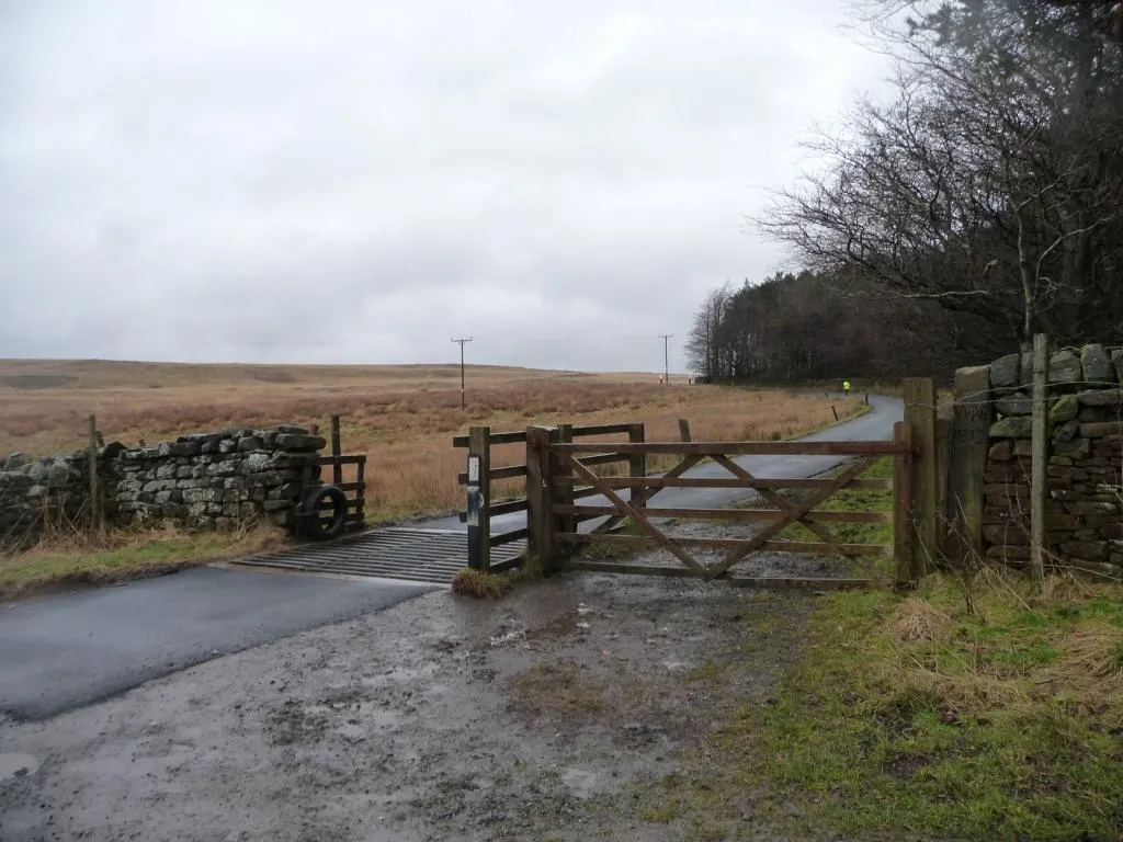 Photo showing: Cattle grid, Hardings Lane