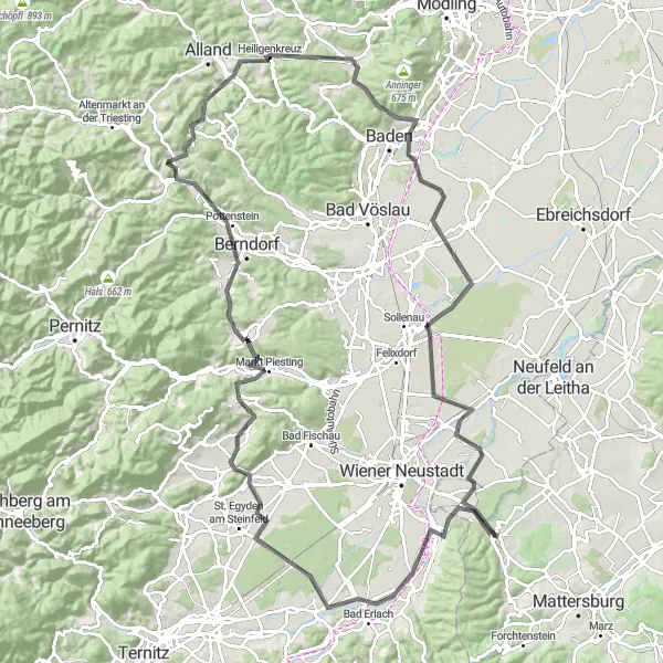 Miniatura della mappa di ispirazione al ciclismo "Tour Panoramico di Schwarzau am Steinfeld" nella regione di Burgenland, Austria. Generata da Tarmacs.app, pianificatore di rotte ciclistiche