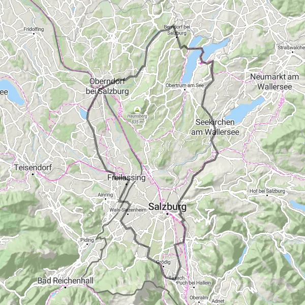 Miniatura della mappa di ispirazione al ciclismo "Il giro in bicicletta tra Laufen und die Salzach e Schloss Anif" nella regione di Salzburg, Austria. Generata da Tarmacs.app, pianificatore di rotte ciclistiche