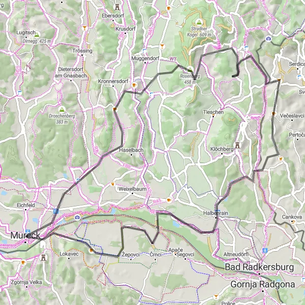 Miniatura della mappa di ispirazione al ciclismo "Tour dei Paesaggi" nella regione di Steiermark, Austria. Generata da Tarmacs.app, pianificatore di rotte ciclistiche