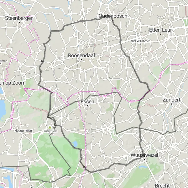 Map miniature of "Wuustwezel Loop: The Hidden Castles of Antwerpen" cycling inspiration in Prov. Antwerpen, Belgium. Generated by Tarmacs.app cycling route planner