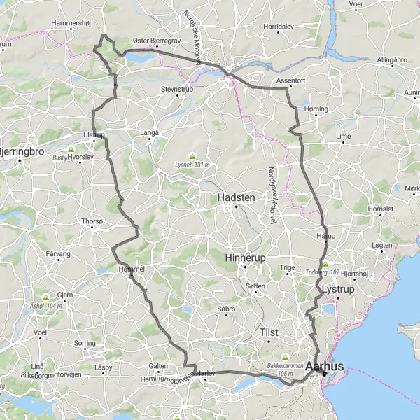 Map miniature of "Hammel Loop" cycling inspiration in Midtjylland, Denmark. Generated by Tarmacs.app cycling route planner