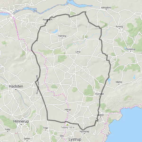 Map miniature of "Skødstrup Circuit" cycling inspiration in Midtjylland, Denmark. Generated by Tarmacs.app cycling route planner