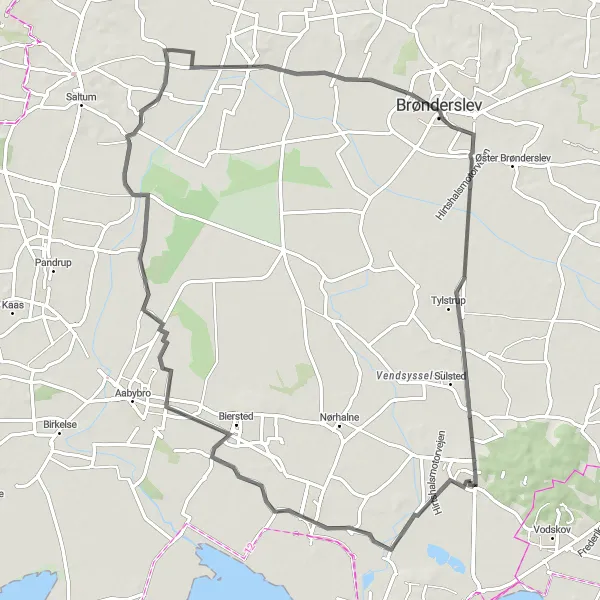 Map miniature of "Vester Halne to Brønderslev Loop" cycling inspiration in Nordjylland, Denmark. Generated by Tarmacs.app cycling route planner