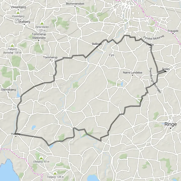 Map miniature of "Freltofte Loop" cycling inspiration in Syddanmark, Denmark. Generated by Tarmacs.app cycling route planner