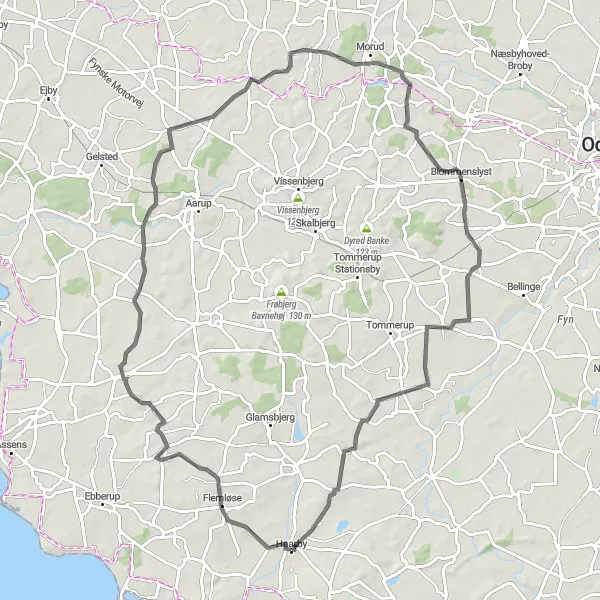 Map miniature of "Haarby to Flemløse and Back" cycling inspiration in Syddanmark, Denmark. Generated by Tarmacs.app cycling route planner