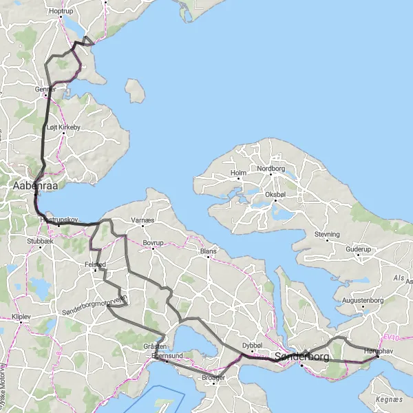 Map miniature of "Alsik Loop" cycling inspiration in Syddanmark, Denmark. Generated by Tarmacs.app cycling route planner