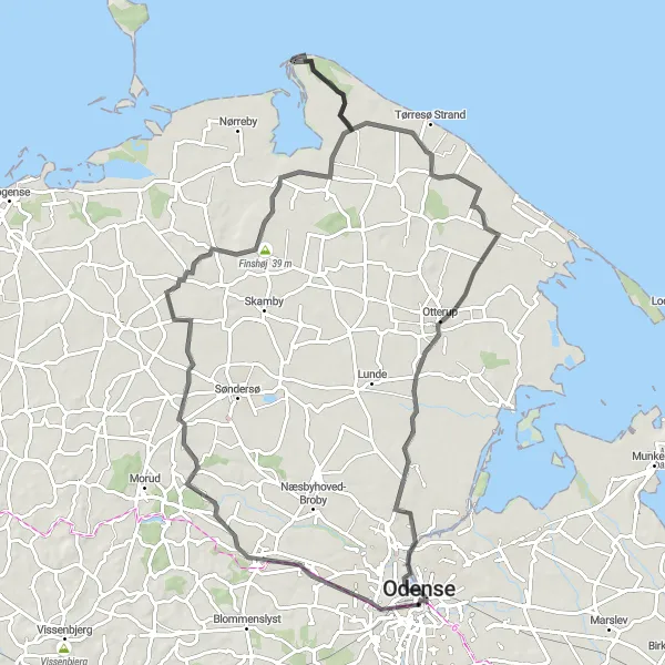Map miniature of "Tarup Scenic Loop" cycling inspiration in Syddanmark, Denmark. Generated by Tarmacs.app cycling route planner