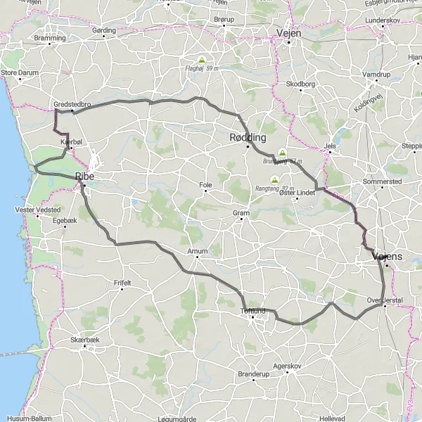 Map miniature of "The South Jutland Loop" cycling inspiration in Syddanmark, Denmark. Generated by Tarmacs.app cycling route planner