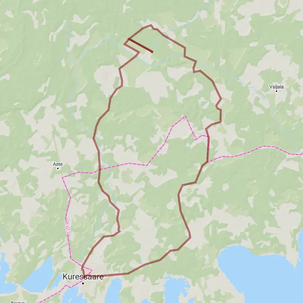 Map miniature of "The Reo Discovery" cycling inspiration in Eesti, Estonia. Generated by Tarmacs.app cycling route planner