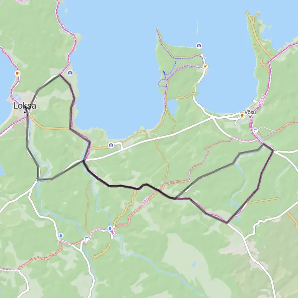 Map miniature of "Loksa to Palmse Loop" cycling inspiration in Eesti, Estonia. Generated by Tarmacs.app cycling route planner