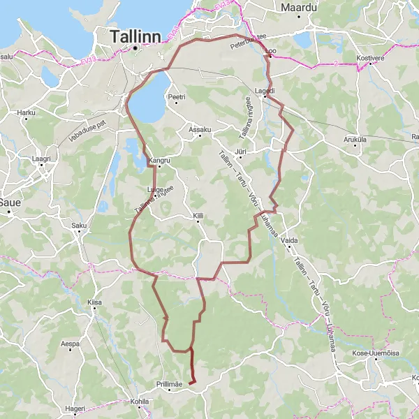 Map miniature of "Gravel Adventure" cycling inspiration in Eesti, Estonia. Generated by Tarmacs.app cycling route planner