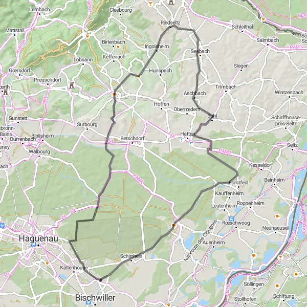 Map miniature of "Bischwiller and Surroundings" cycling inspiration in Alsace, France. Generated by Tarmacs.app cycling route planner