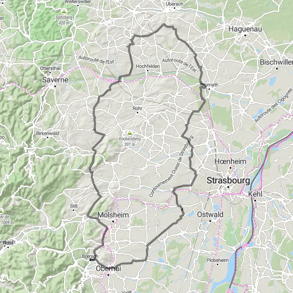 Miniature de la carte de l'inspiration cycliste "Parcours des Vignobles d'Alsace" dans la Alsace, France. Générée par le planificateur d'itinéraire cycliste Tarmacs.app