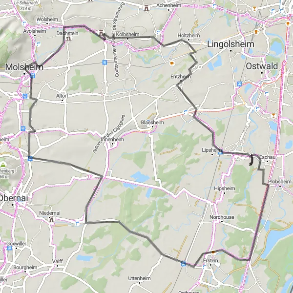 Miniature de la carte de l'inspiration cycliste "Circuit des Vignobles d'Alsace" dans la Alsace, France. Générée par le planificateur d'itinéraire cycliste Tarmacs.app