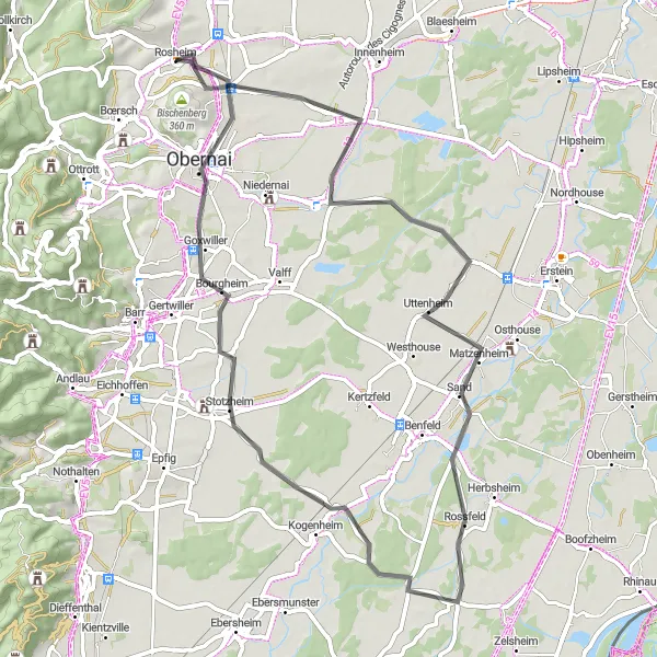 Map miniature of "Obernai Loop" cycling inspiration in Alsace, France. Generated by Tarmacs.app cycling route planner
