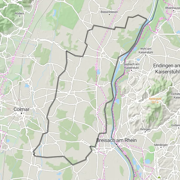 Map miniature of "Leisurely Ride through the Rhine Valley" cycling inspiration in Alsace, France. Generated by Tarmacs.app cycling route planner