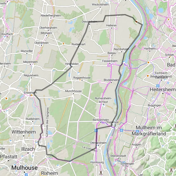 Miniature de la carte de l'inspiration cycliste "Tour du Rhin et des villages viticoles" dans la Alsace, France. Générée par le planificateur d'itinéraire cycliste Tarmacs.app