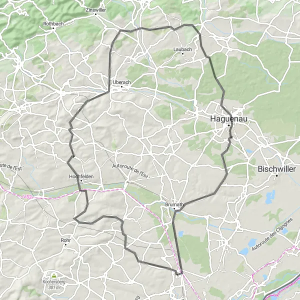 Miniature de la carte de l'inspiration cycliste "Boucle par Gingsheim et Hegeney" dans la Alsace, France. Générée par le planificateur d'itinéraire cycliste Tarmacs.app