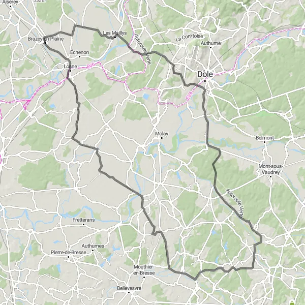 Miniature de la carte de l'inspiration cycliste "Parcours cycliste varié près de Brazey-en-Plaine" dans la Bourgogne, France. Générée par le planificateur d'itinéraire cycliste Tarmacs.app