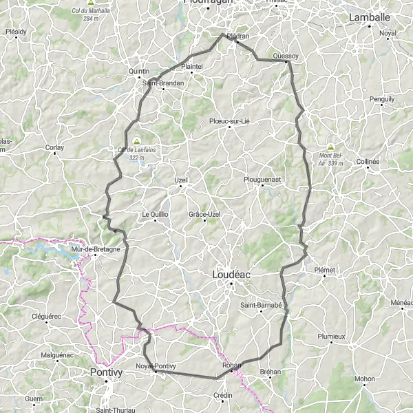 Map miniature of "Château de la Fontaine-Saint-Père - Plessala - La Prénessaye - La Chèze - Noyal-Pontivy - Saint-Guen - Saint-Martin-des-Prés - Château de Craffault - Quessoy Loop" cycling inspiration in Bretagne, France. Generated by Tarmacs.app cycling route planner