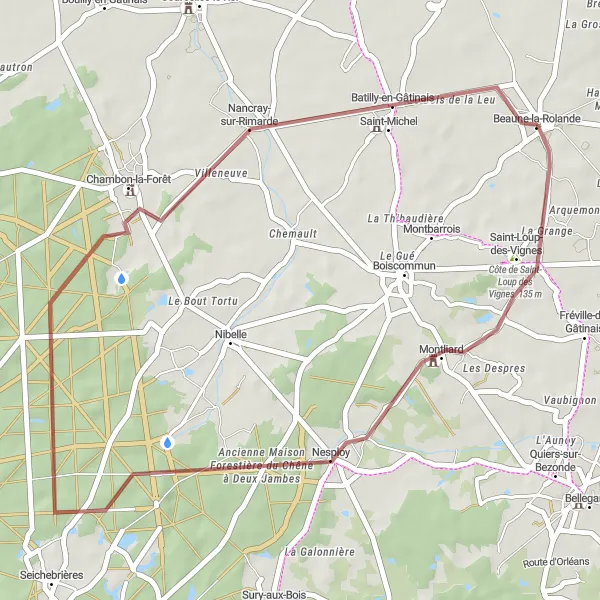 Map miniature of "Gravel Ride to Doru and Beaune-la-Rolande" cycling inspiration in Centre — Val de Loire, France. Generated by Tarmacs.app cycling route planner