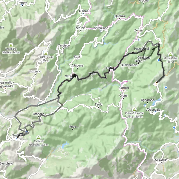Map miniature of "Granace Circuit" cycling inspiration in Corse, France. Generated by Tarmacs.app cycling route planner