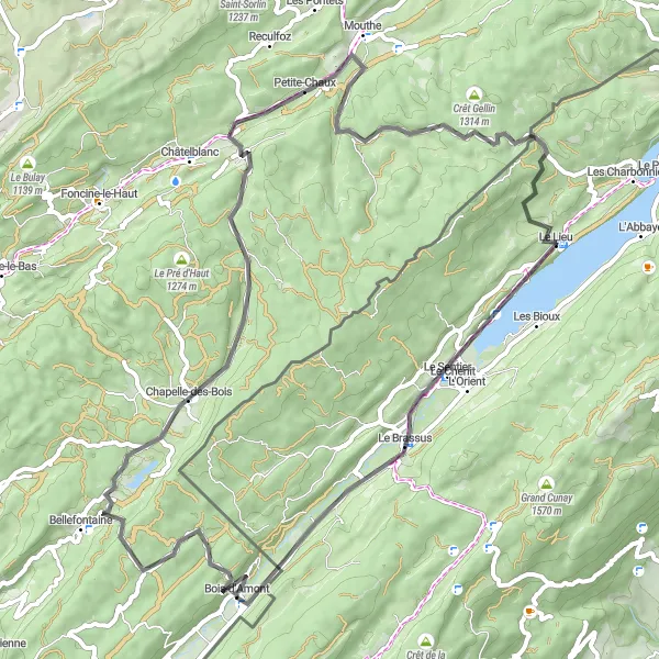Miniature de la carte de l'inspiration cycliste "Boucle des Montagnes de Bois-d'Amont" dans la Franche-Comté, France. Générée par le planificateur d'itinéraire cycliste Tarmacs.app