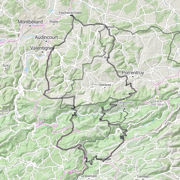 Miniature de la carte de l'inspiration cycliste "Tour de Les Hormets et Rocher du Singe" dans la Franche-Comté, France. Générée par le planificateur d'itinéraire cycliste Tarmacs.app